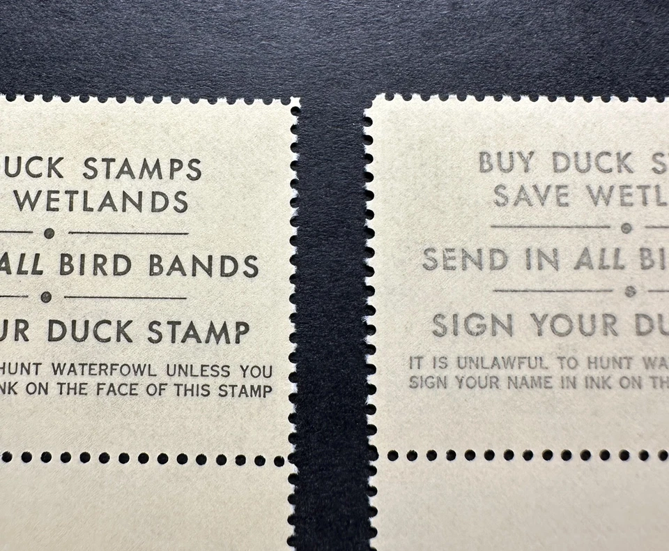 #RW53 1986 - Federal Duck Stamp - MNH **BLACK & GRAY COLOR VARIETY TEXT ERROR** - Imagem 2 de 3