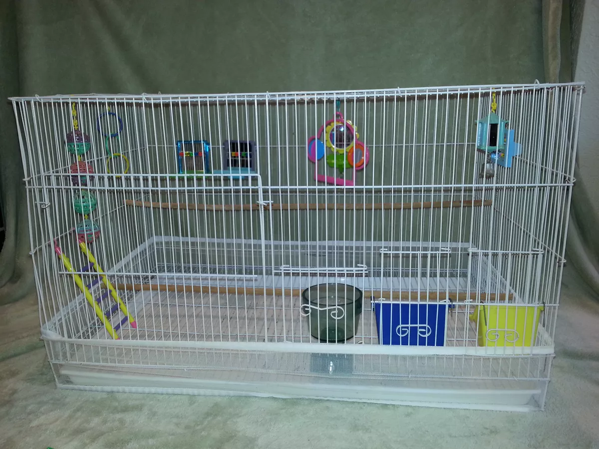Table top cheap bird cage