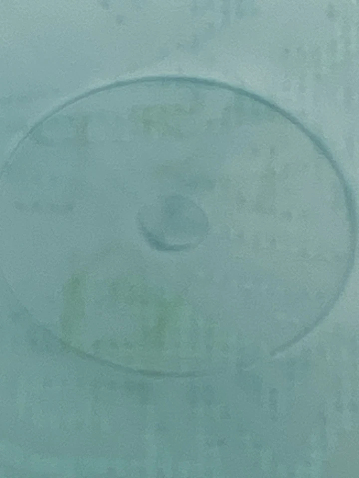 Innova Blue Boss David Wiggins 3X World Disc Golf Distance Champion 159g - Image 4 of 4