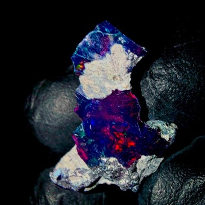 Ethiopian Black Opal Roh, Natural Fire Opalescence 7,65 Ct 23x15 mm