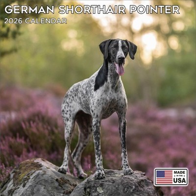 German Shorthaired Pointer Calendar 2026 - Dog Breed Calendar - Made in the USA!
