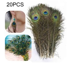 20Pcs Natur-Pfauenfedern Pfauenfeder Pfauenaugen 25-30cm Federn Schmuck Deko