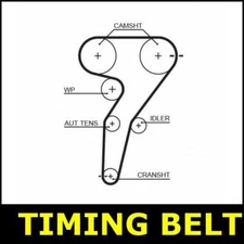 Timing Belt Cam Fits Alfa 145 146 147 Opt2/2 Cam 2.0 930 937 SX9245