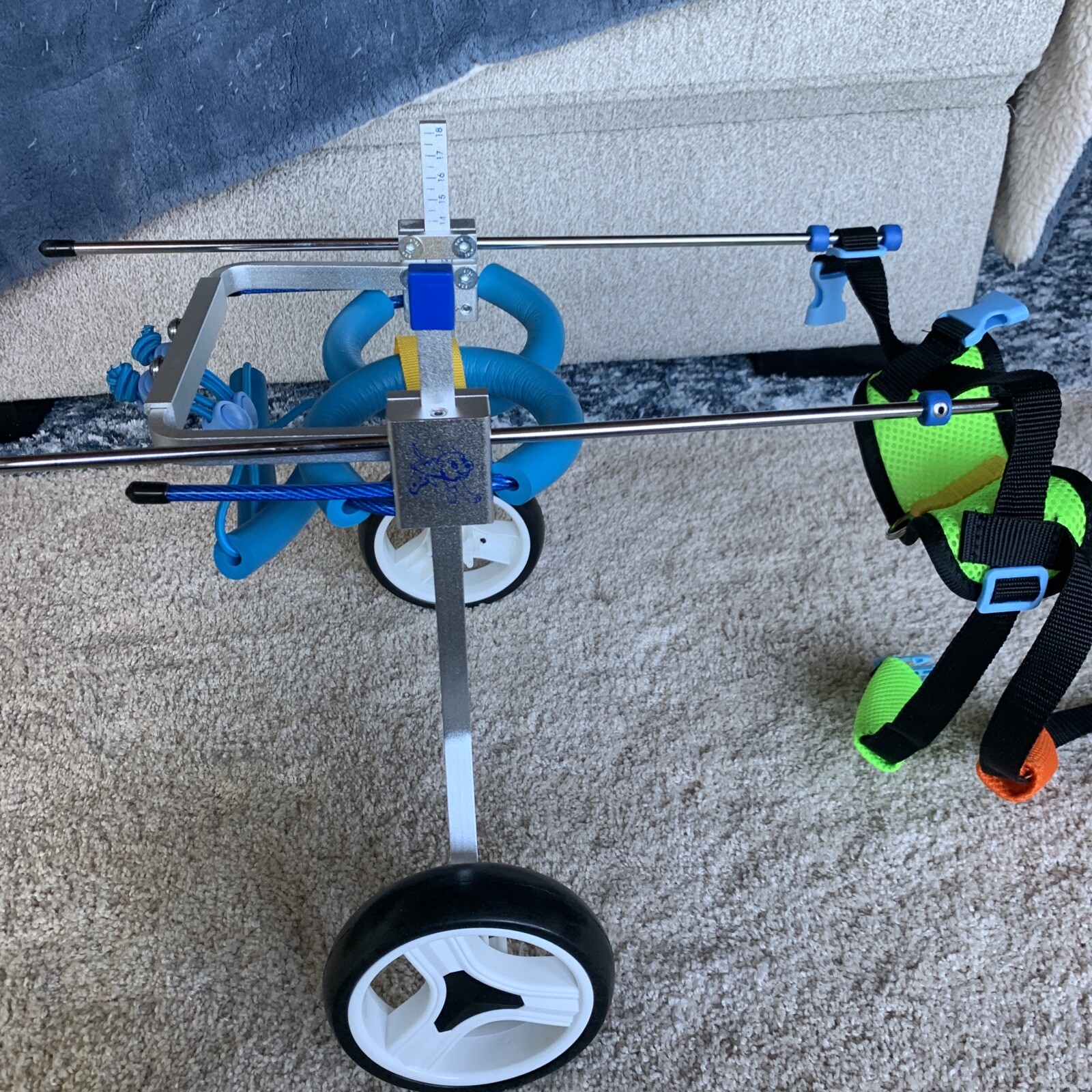 Dog Wheelchair for sale compared to CraigsList Only 3 left at 70