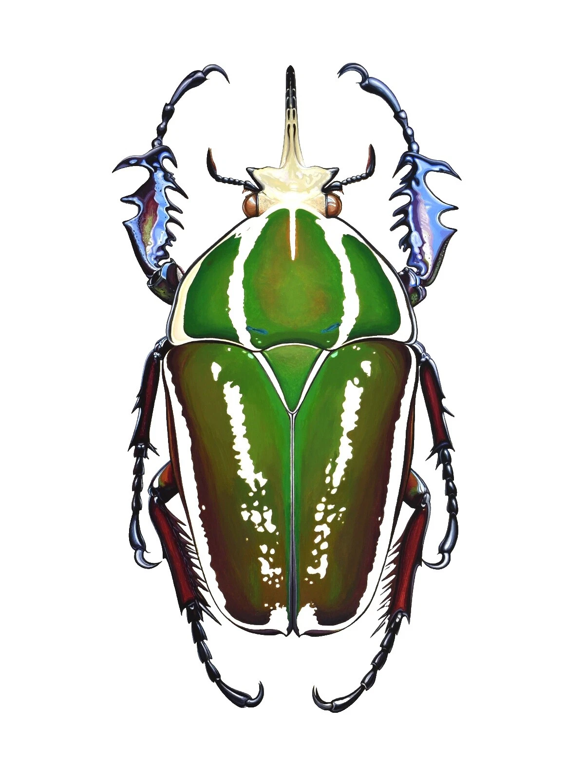 Холст природа художественные картины