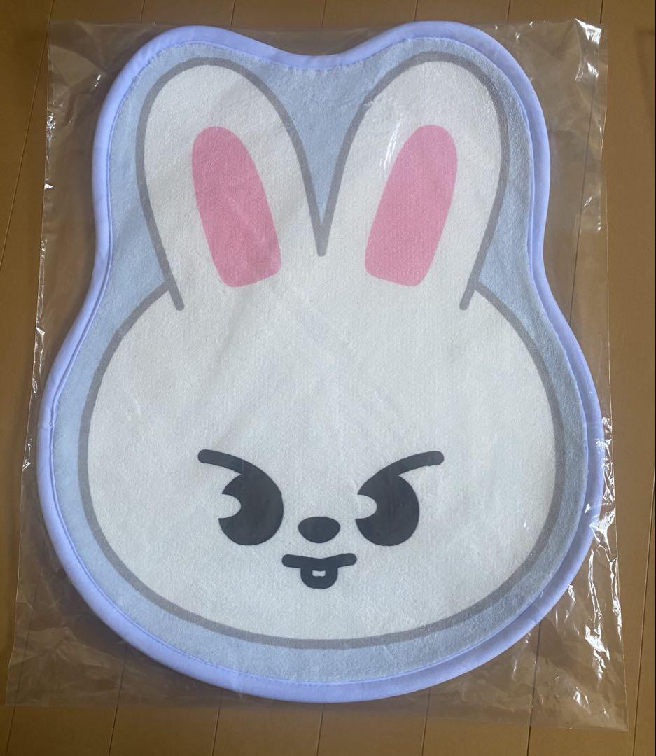 SKZOO Mini Carpet stray kids スキズ STRAY KIDS STAY JAPAN FC GOODS SKZOO MINI CARPET OFFICIAL | eBay