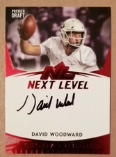 David Woodward Hit Next