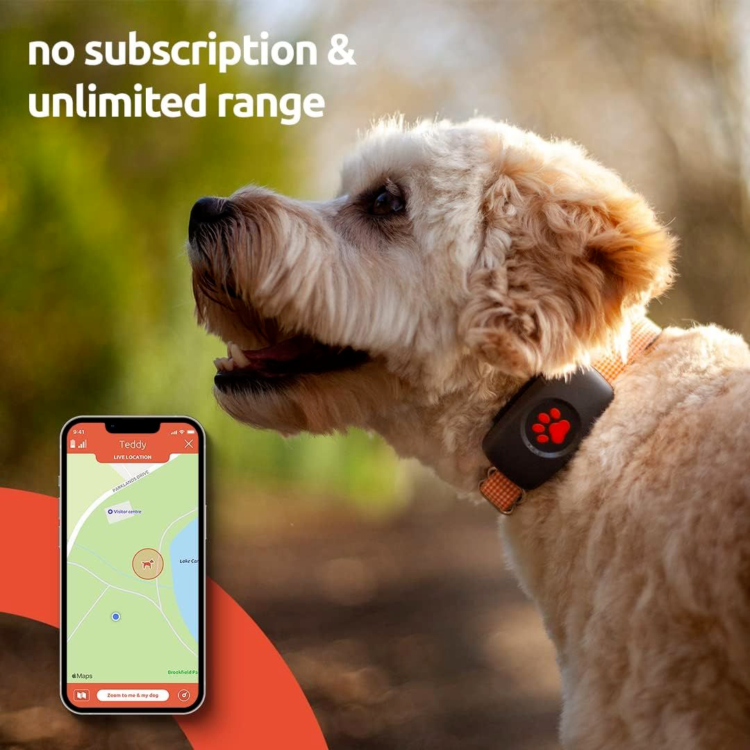 PitPat Black Waterproof Dog GPS Tracker Location & Fitness Activity
