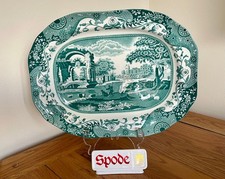 NEW Stunning Spode Green Italian Oval Serving Meat Platter 14"