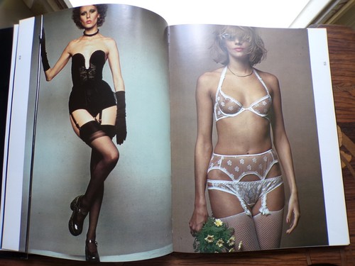 9399 Les Dessous du Porte Jarretelles Briand Laffont 1983 - Picture 7 of 12
