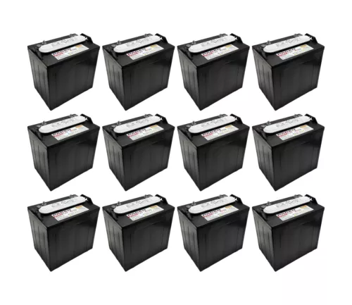 Pacer P-875 8 Volt 165Ah Deep Cycle Battery - Replaces Trojan T-875 | Set of 12