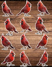 Cardinal Bird Die Cut Vinyl Stickers Set Scrapbooking Laptop Waterbottle