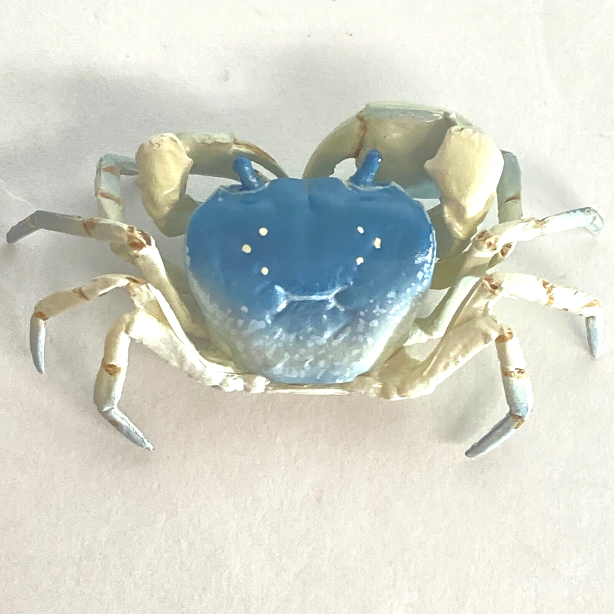 Nature Techni Colour Mini Figure Japanese Freshwater Crab Light