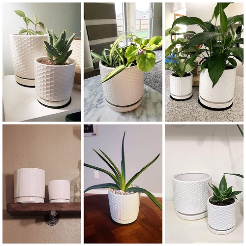 Set of 2 Modern Matte White Honeycomb Embossed Ceramic Planter Pots with Sauc... - Picture 7 of 7