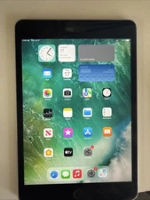 Apple iPad Mini 4th Gen Wi-Fi  128GB grey silver
