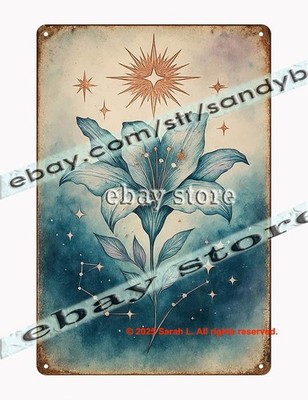 Celestial Lily Star Wall Art metal sign