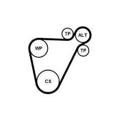 Keilrippenriemensatz für Mini F60 | 23923551