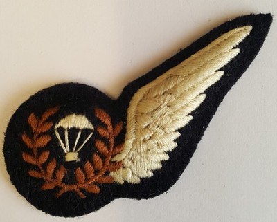 Seidenmaschinenbestickter Blazer Abzeichen - RAF Fallschirmsprunglehrer