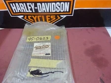 Vintage HARLEY'S CUSTOM'S OTHERS Rpl GARY BANG 19" CHROME 40 Spoke/Nipple Set