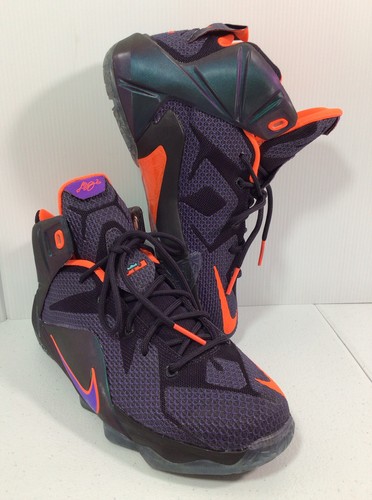 lebron xii gs