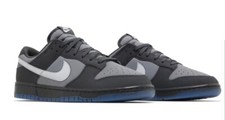 Nike Dunk Low Berlin Cool Grey Black FZ3053-001 Mens New