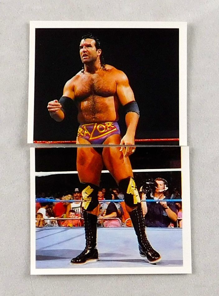 Razor Ramon WWF Merlin Sticker Card Set Wrestling Wrestler WWE