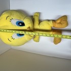 Foto 6 di 8