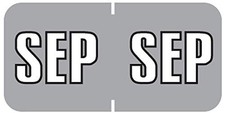 Doctor Stuff - File Folder Month Labels, 3/4" x 1-1/2", 09 - September