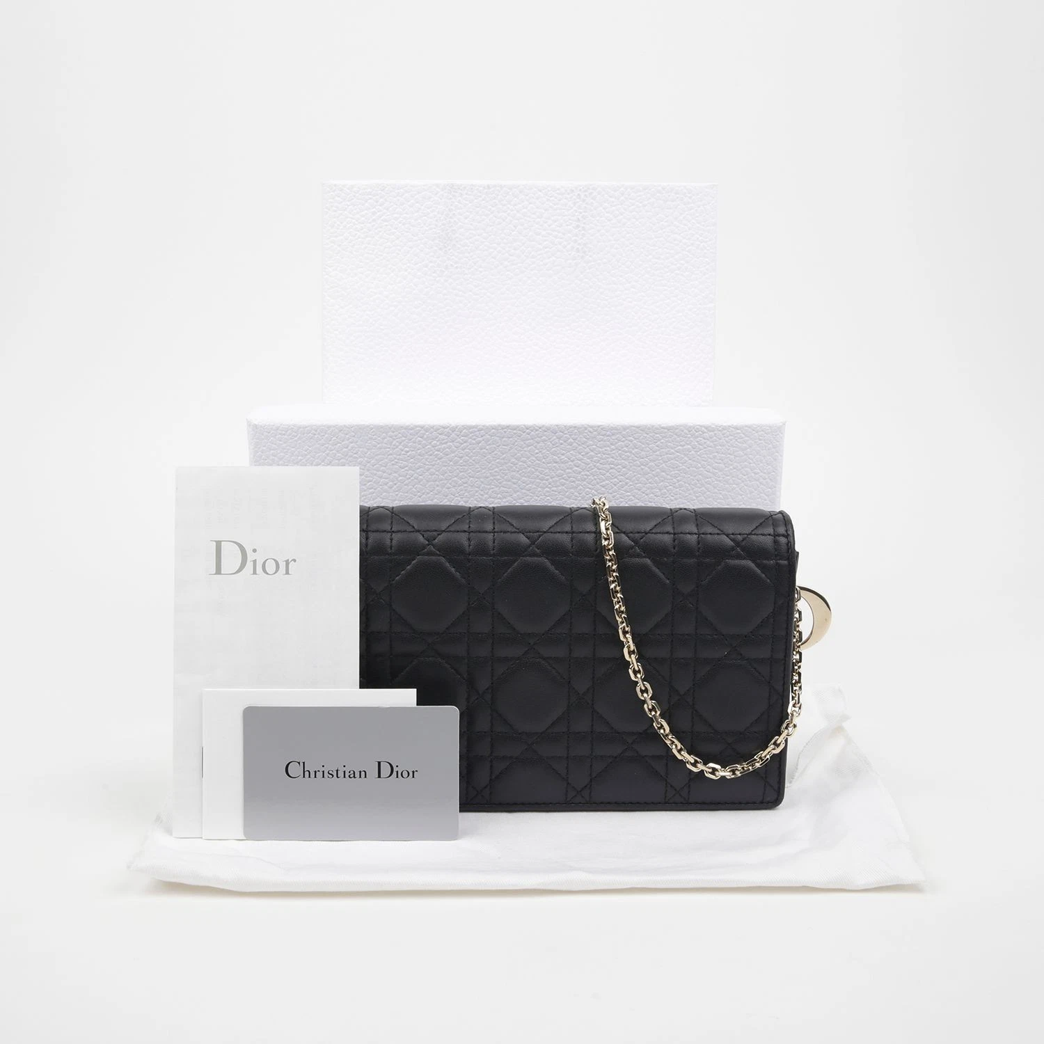 Sac bandoulière Dior S0204ONMJ Lady Pouch 132804888