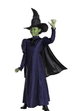 Wicked Elphaba Costume Dress Cape & Hat Halloween Dress-up Kids Small 4-6X NEW