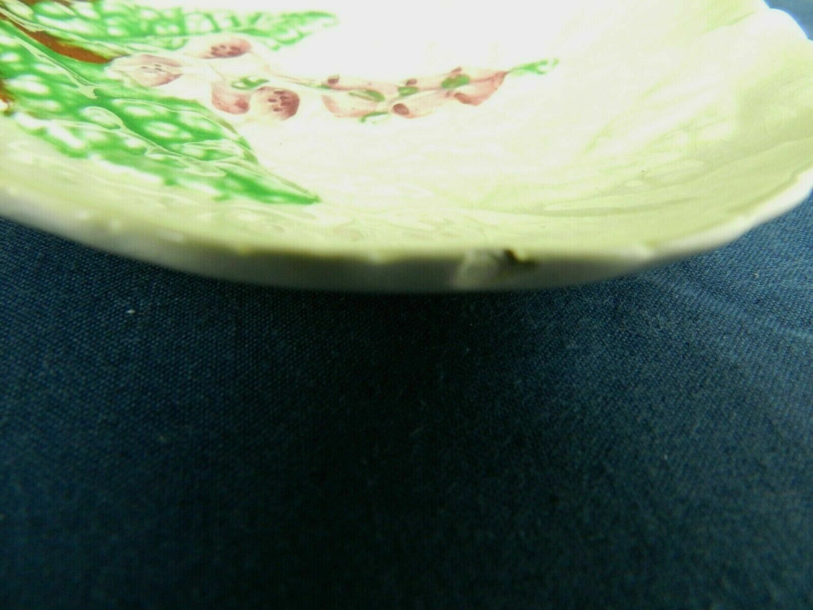 Picture 20 of 26