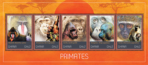 Ghana 2012 - Primates Monkey - Sheet of 5 Stamps - Scott #2711 - MNH