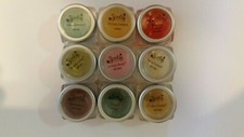 SCENTSY ~ MINI Party Testers ~ DISCONTINUED HTF Scents LOT OF 10