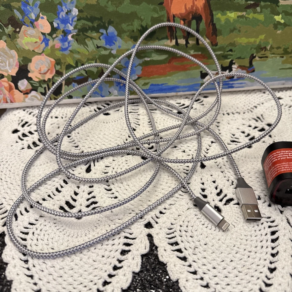 Cargador de pared enchufable USB de 9 pies de largo 5V OEM Verizon modelo 580245A031 iPhone Foto 2 de 4