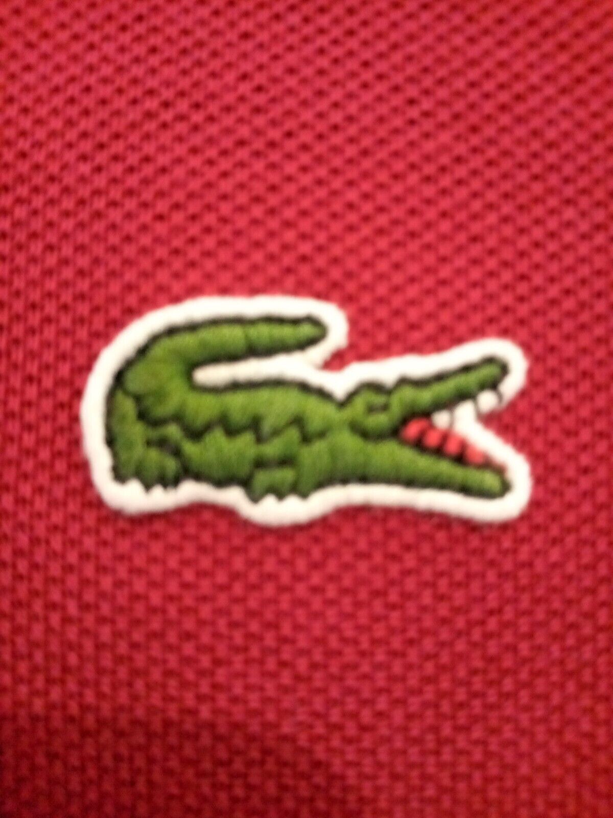 Foto 6 di 6