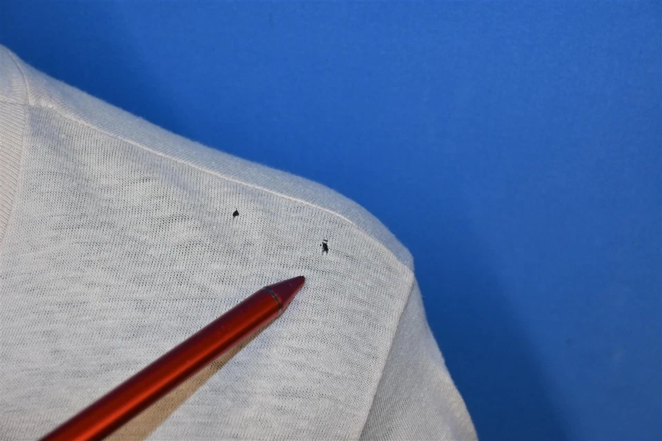 Винтажная футболка 70-х MOON PIE A DAINCE BAND MICE RATS КУСОК ПИРОГА МАЛЕНЬКИЙ РАЗМЕР S - Изображение 3 из 4