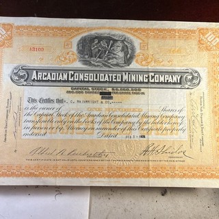 arcadian copper mine Stock Certificate Houghton Michigan Mi Mich