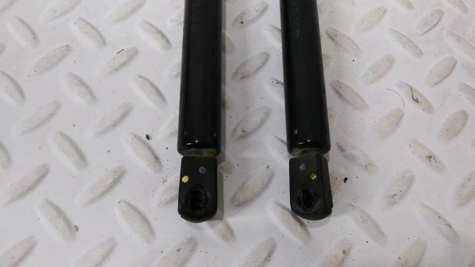 Puntales de maletero Buick Century 99-05 Foto 2 de 4