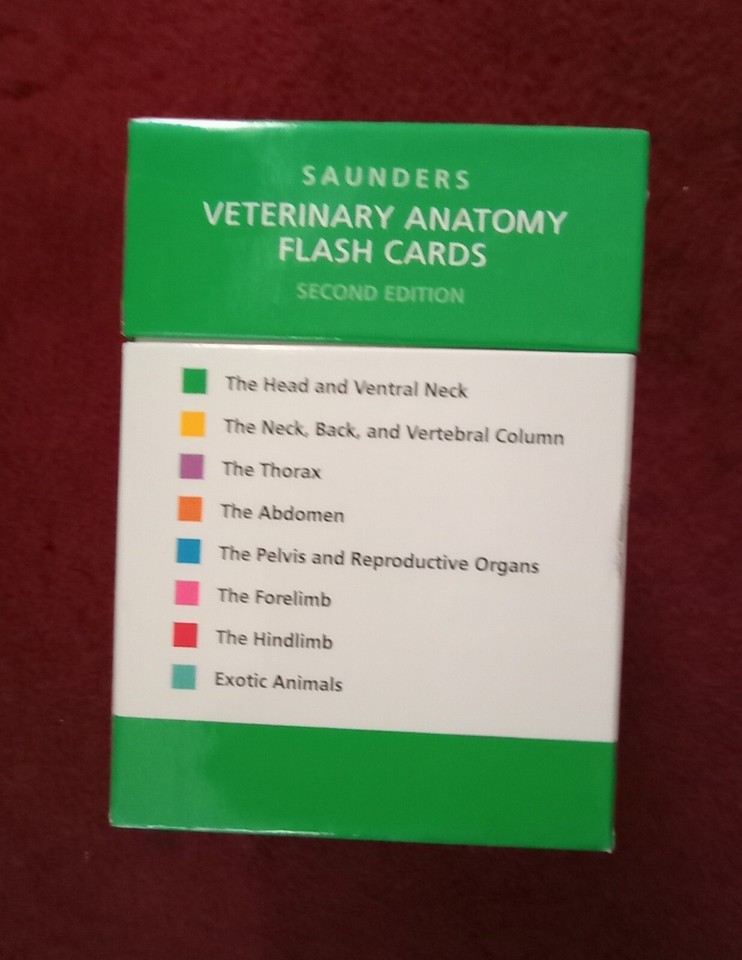 Sanders Veterinary Anatomy Flash Cards Second Edition eBay