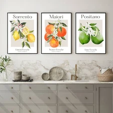 Set of 3 Wall Art Prints, Citrus Fruit Prints, Home Decor, Kitchen Prints