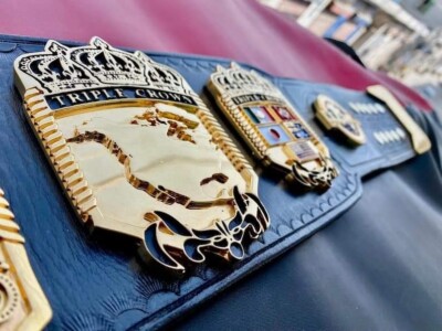 【非売品】シンエンペラーミニゼッケンクラシック NWA Old School Triple Crown Pro Wrestling Championship