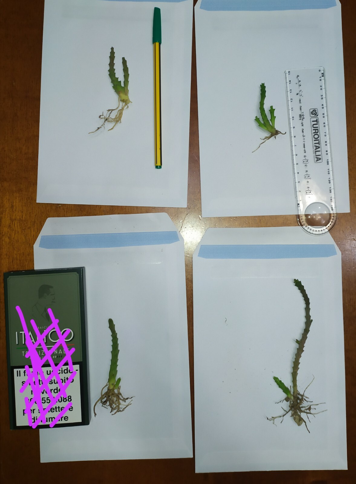 Foto 2 di 3