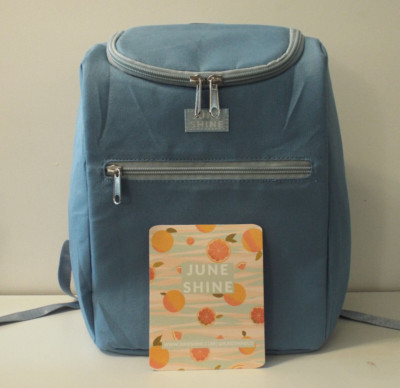 13''x10''x6'' ''Powder Blue'' Insulated Zippered Portable Cooler Backpack (JuneShine)