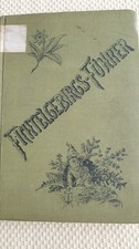 Fichtelgebirge Guide 1894 Fichtelgebirgsverein Albert Schmidt with Luisenburg