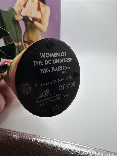 Busto Mujer del Universo DC Edición Limitada Big Barda 5.875" 2228 de 3500 - Imagen 7 de 8