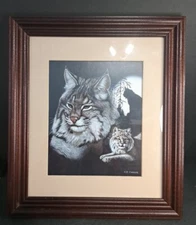 Bobcat Print Nightlife Series By  C.J. CONNER Special Publishers Edition 