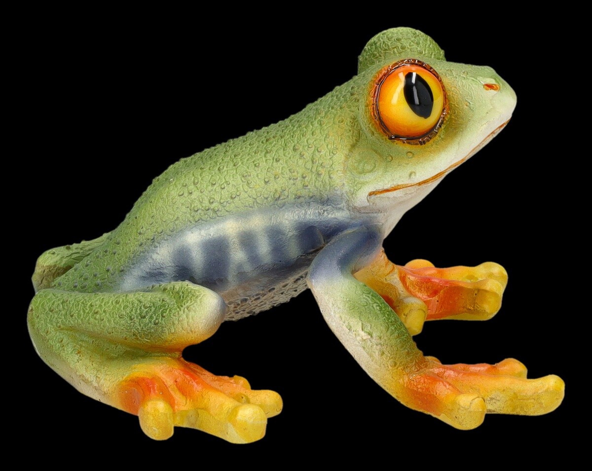 Garden Figure Tropical Frog - Red-Eyed - HotAnt Garden Decoration Amphibian