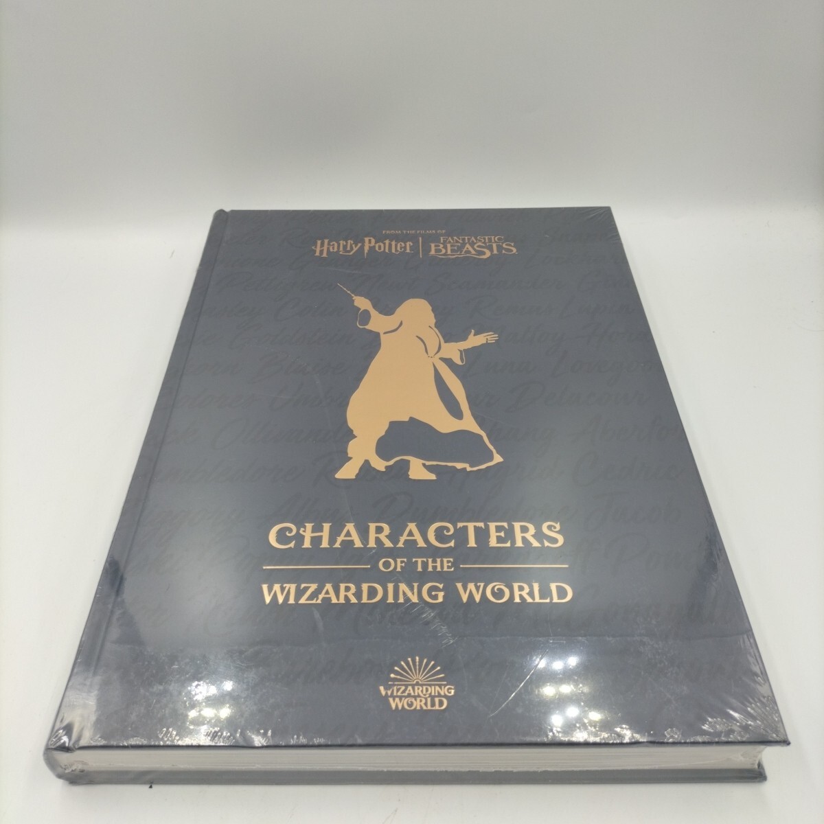 Harry Potter: The Characters Of The Wizarding World Jody Revenson - Image 9