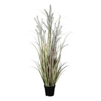 artplants Deko Sand-Reitgras Lerva Mit Rispen, GrüN-Rosa, 100Cm