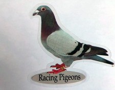Racing Pigeon Window Stickers (x6)